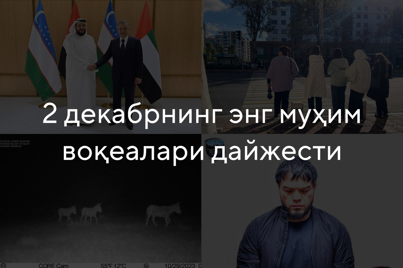 2023 йил 2 декабрнинг энг муҳим воқеалари дайжести