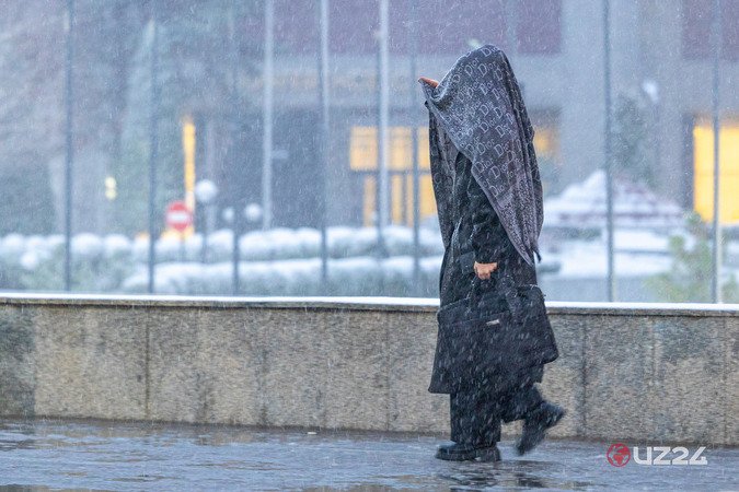 “Bizdan bahor begonadir borgan sari” — fotojamlanma