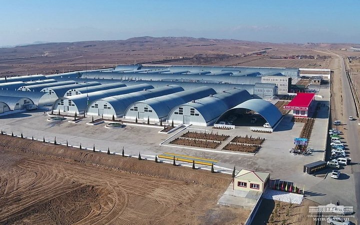 Предприниматели и антикризисный менеджмент: чем удивила Наманганская область