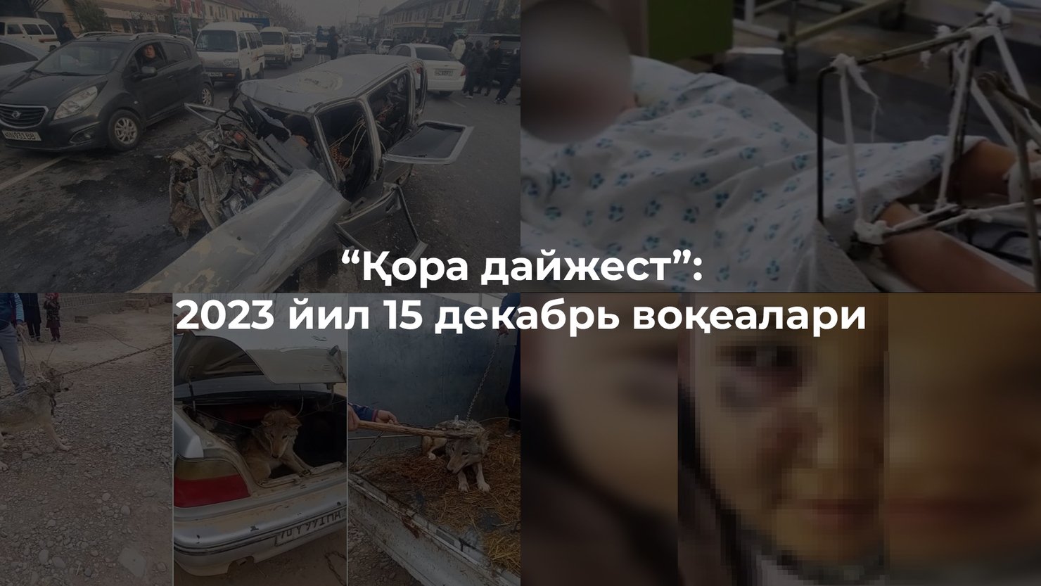 “Қора дайжест”: 2023 йил 15 декабрь воқеалари