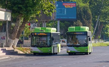 15 августдан Пойтахтда автобуслар ҳаракати ҳам тўлиқ тикланади