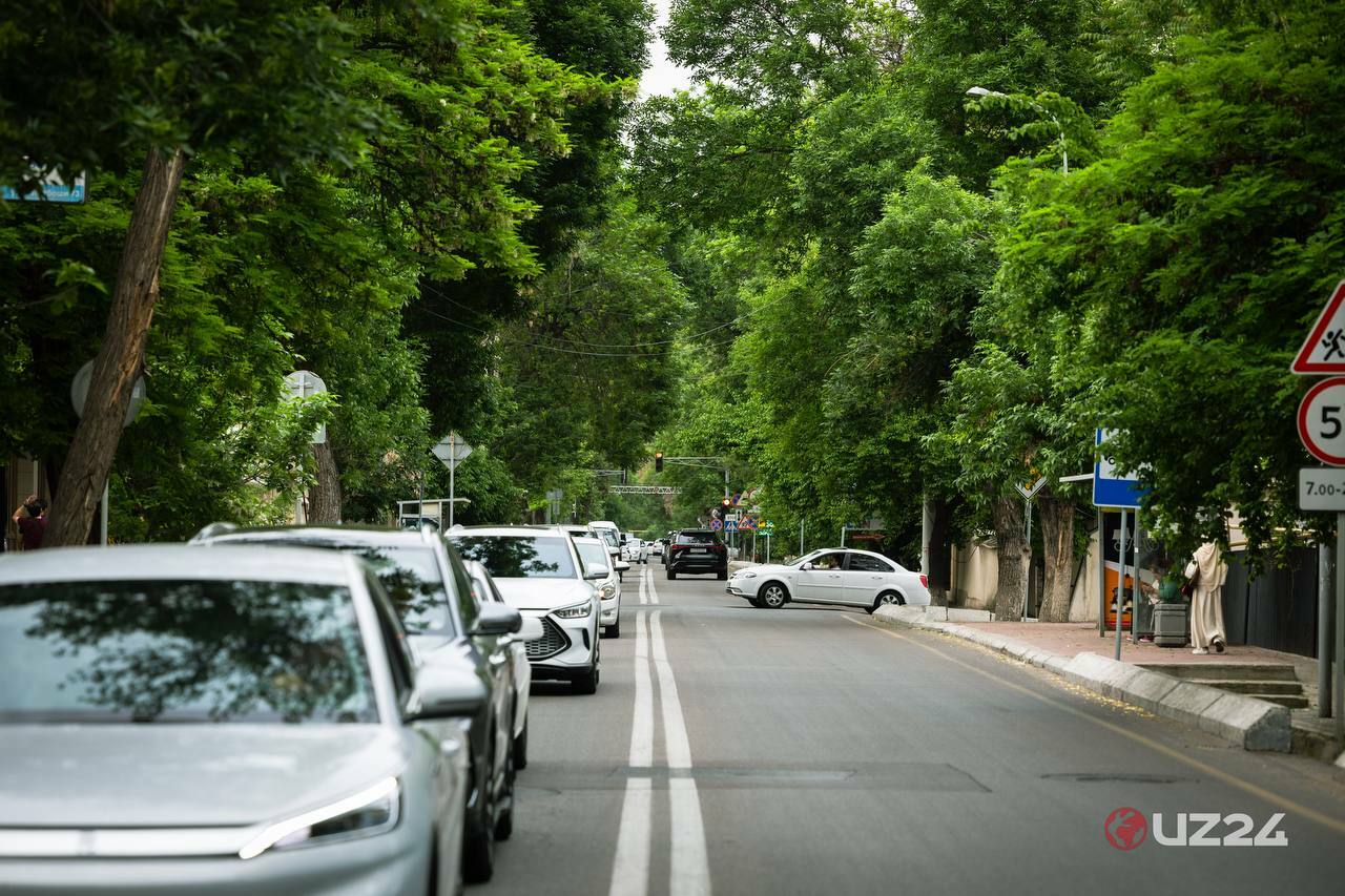 В Ташкенте ДТП чаще всего происходят в вечерний час пик — примерно с 17:00 до 18:00