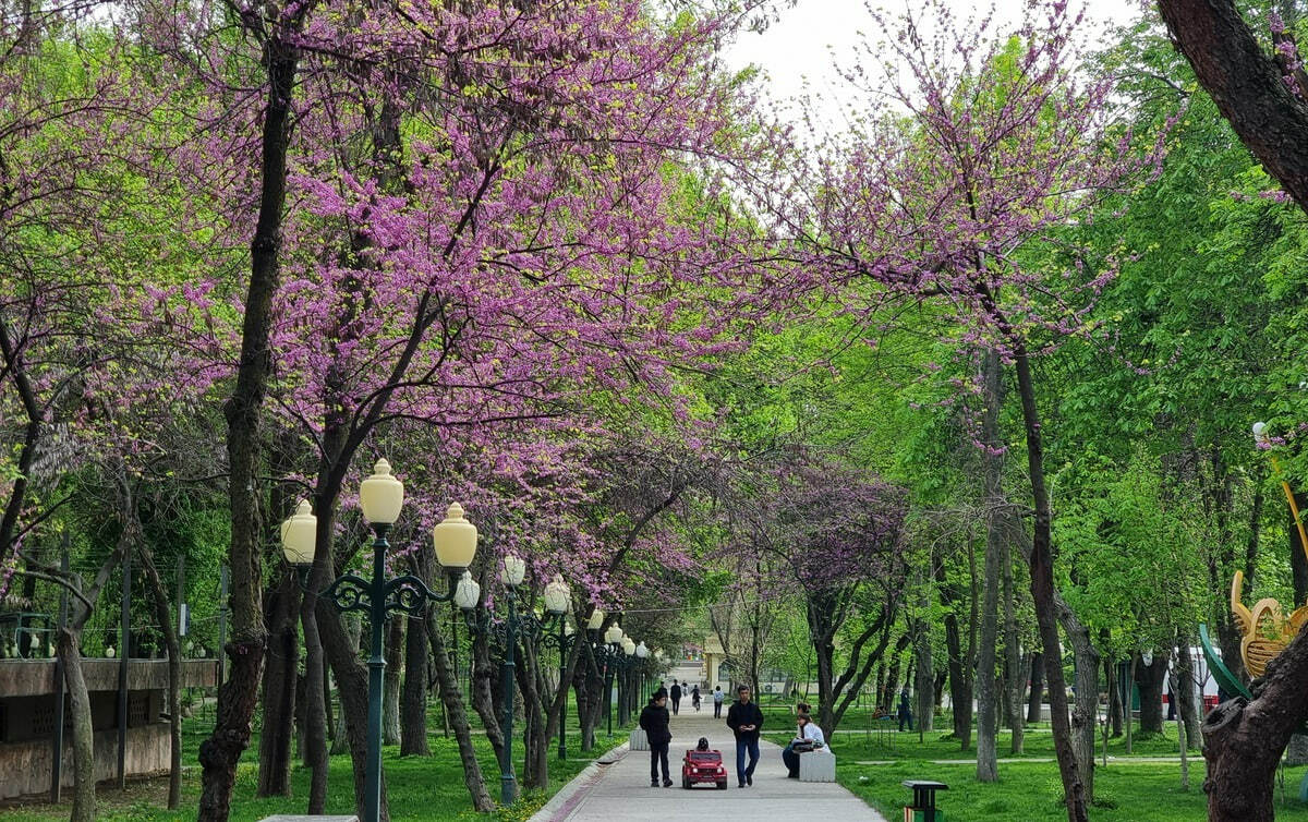 Aprelda o‘zbekistonliklarni qanday ob-havo kutib turibdi?