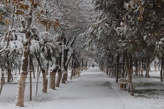 Фото: "Халқ сўзи" газетаси