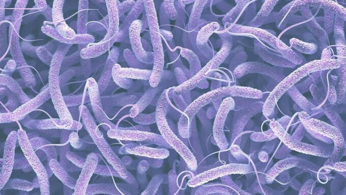 Dunyoda vabo epidemiyasi yana avj olmoqda. Oʻzbekistonda vaziyat qanday?