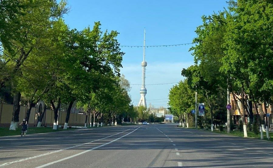 Сегодня в Ташкенте очередной «День без автомобилей»