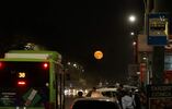 avtobus