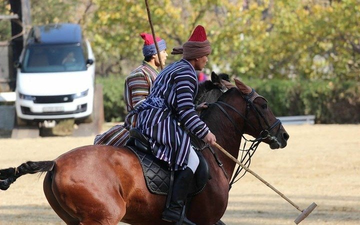 Федерация поло организовала первое соревнование